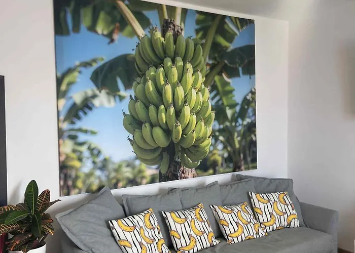 Lejlighed Casa Banana Ocean View *