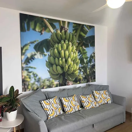 Appartement Casa Banana Ocean View Adeje *