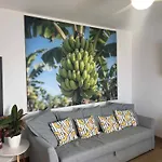 Апартаменти Casa Banana Ocean View Together With The Car *